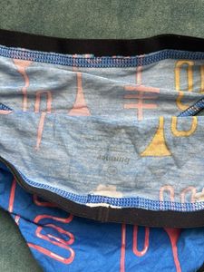 Fun Blue Cactus Print Briefs