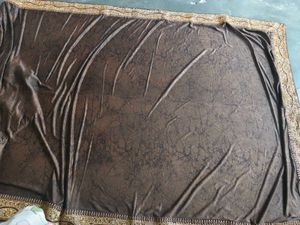 Beautiful Brown Saree
