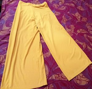 Go Colors RIB Plazzo