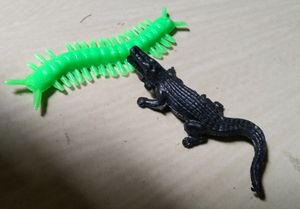 Animals For Projects