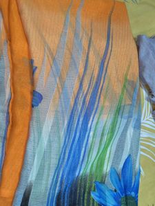 Stylish Striped and Floral Saree
