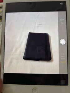 Apple iPad Mini