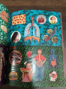 Amazing Body 3D Sticker Fun Book