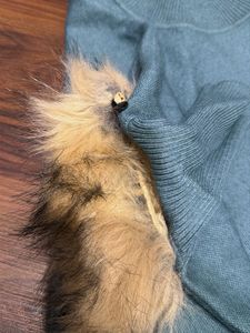 Elegant Teal Poncho with Fur Trim
