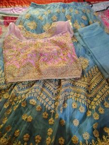 Embroidered Lehenga Choli Set