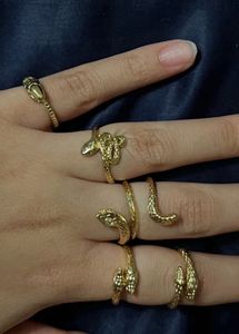 Set of 5 Snake Rings Golden