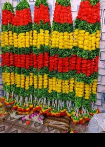 Marigold Strings