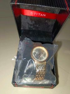 Titan Gold Dial Watch