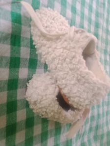 Cozy Baby Booties
