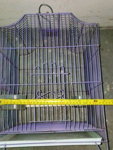 Cage For Birds