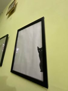 Cute Wall Painting For Hall and Room