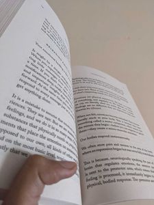 The Mountain Is You Book
