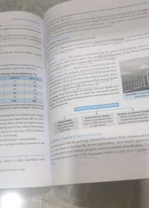 Indian Economic Development Class XII Book