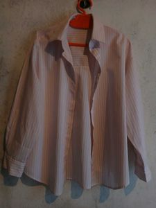 Striped Button-Down Shirt