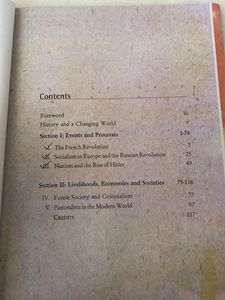 India and the Contemporary World - I