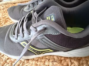 Campus Dark Grey Sports Shoes