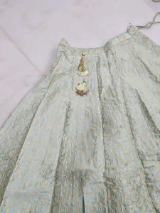 Elegant Ethnic Skirt