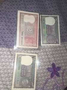3 pack of note