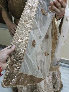 Designer Lehenga Choli Set
