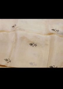Saree with embroidery