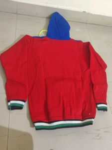 Diesel Colorblock Hoodie