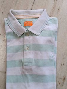 Striped Polo Shirt