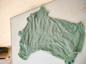 Green Pastel Top ❣️