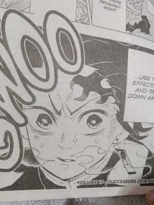 Demon Slayer 17
