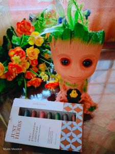 🎨JUST Herbs 8 in 1 EYESHADOW LIDSTICKS