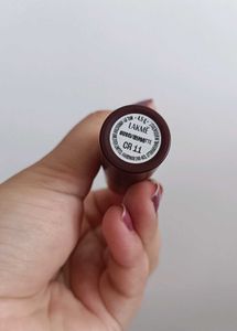 Dark Brown Matte Lipstick