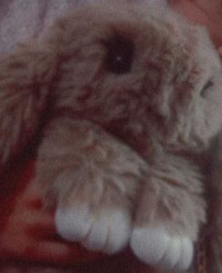 Cute Bunny Plush Toy cum Bag