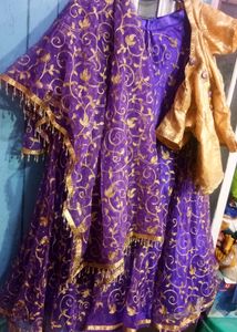Embroidered Lehenga in Purple colour