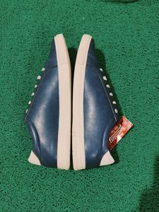 Roadster Men's Casual Shoes. Like New. Good .