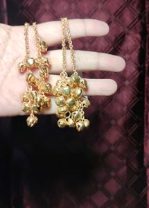Kashmiri Elegant Dangle Earrings ✨