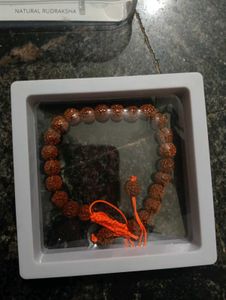 Natural Rudraksha bracelet