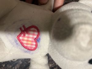 Imported  Soft Toy Teddy