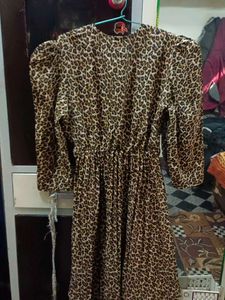 Leopard Print Fit &amp; Flare Dress