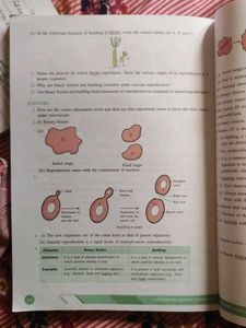 Laboratory Manual Science Class X