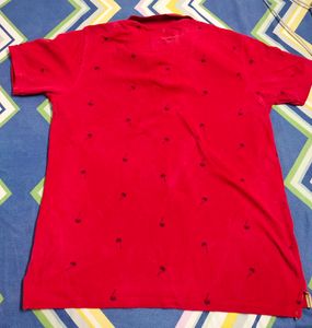 Hollister California Tshirt (XXL)