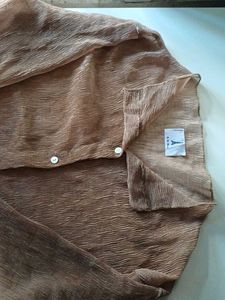 Sheer Textured Button-Up Blouse
