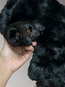 Vintage Black Fox Fur Scarf