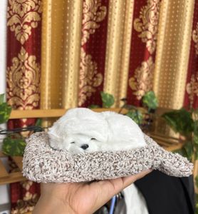 Brand New Adorable Sleeping Puppy Plush Toy