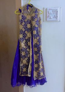 Blue & Gold Embroidered Lehenga Choli