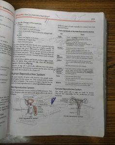 Arihant All in One Class 10 Science Reference Book