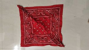 Classic Red &amp; Blue Bandana Set