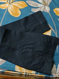 Raymond Navy Blue Pants