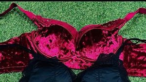 34 only 1 piece Velvet Lace Bra
