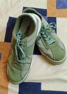 Stylish Green Casual Sneakers