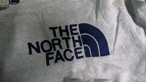 the north face hoodi