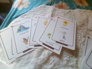 flash card babies